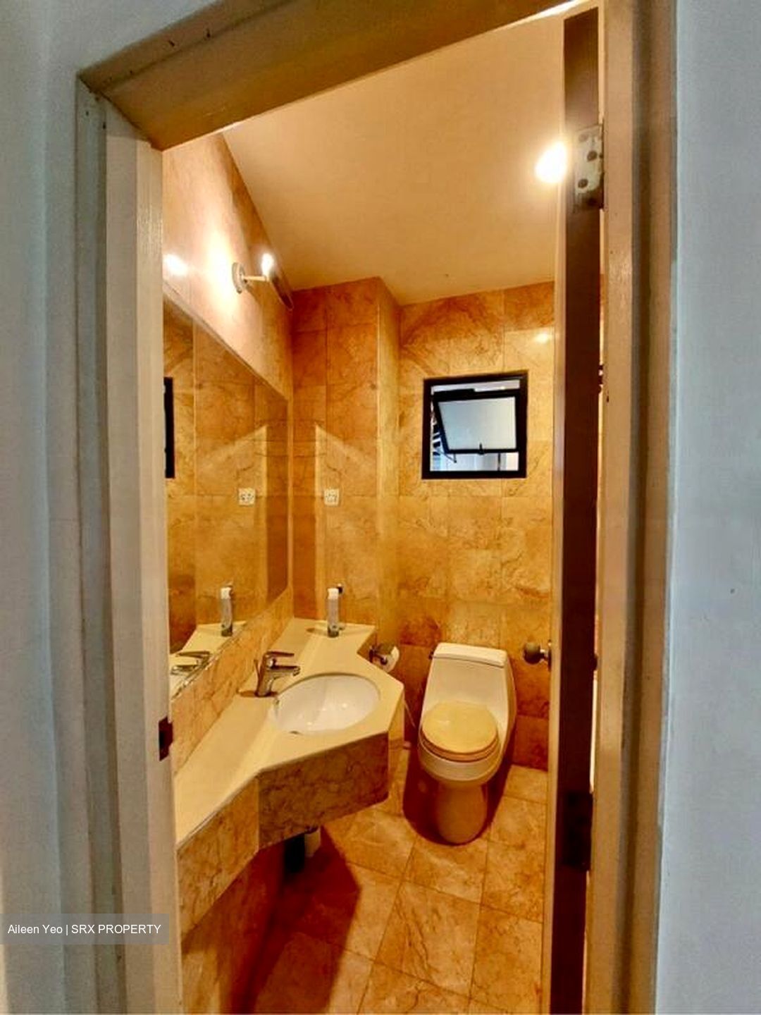 Nineteen Shelford Road (D11), Condominium #467701271